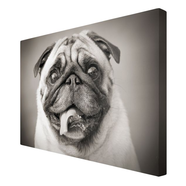Wall art black and white Funny Pug