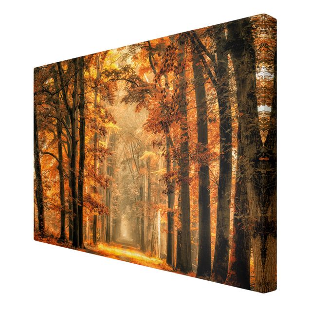Modern art prints Enchanted Forest In Autumn