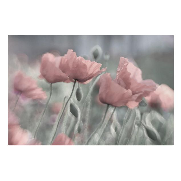 Prints flower Picturesque Poppy