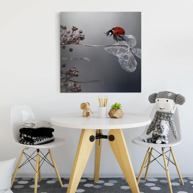 Animal wall art Ladybird On Hydrangea