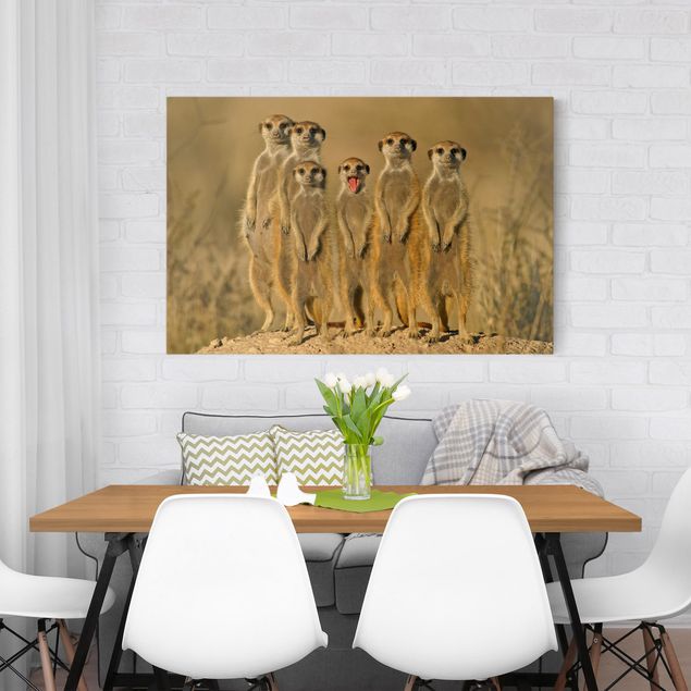 Family canvas art Meerkat Family