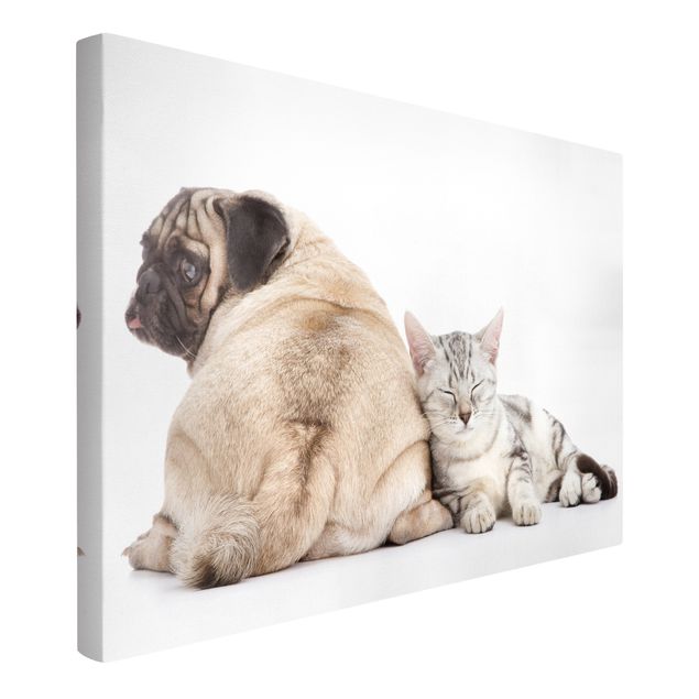 Cat canvas Puggy And Kitten