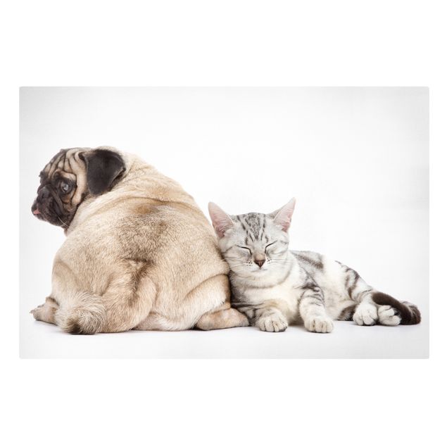 Prints animals Puggy And Kitten