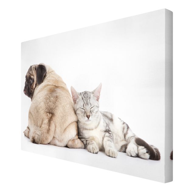 Modern art prints Puggy And Kitten