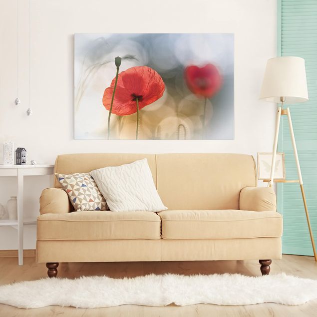 Poppy canvas wall art Poppies In The Morning