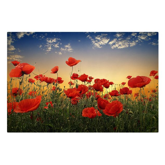 Floral canvas Poppy Field In Sunset