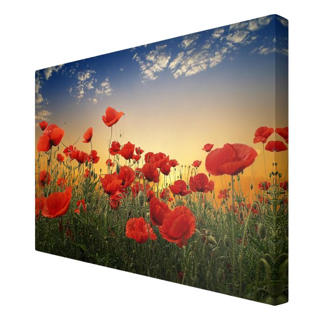 Floral picture Poppy Field In Sunset
