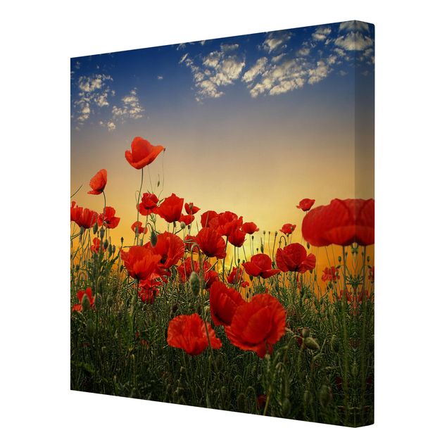 Floral canvas Poppy Field In Sunset