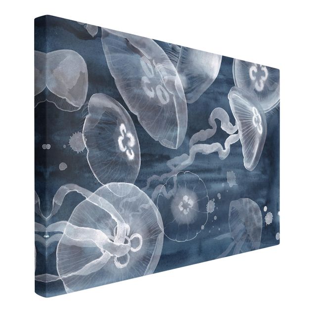 Animal canvas Moon Jellyfish I