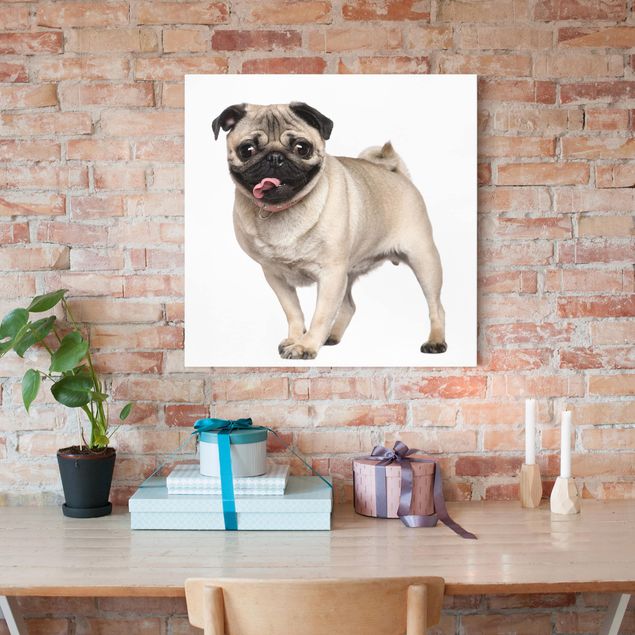 Dog canvas Happy Pug