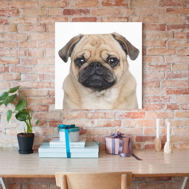 Dog print Pug Portrait