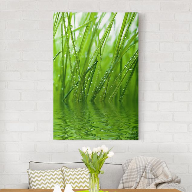 Canvas prints grasses Morning Dew