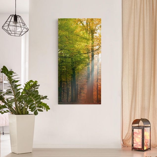 Trees on canvas Morning Light