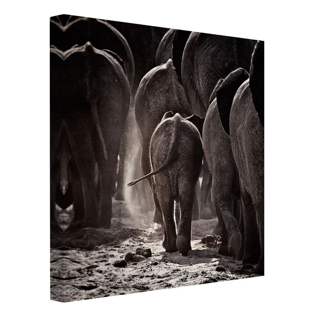 Black and white canvas art Going Home