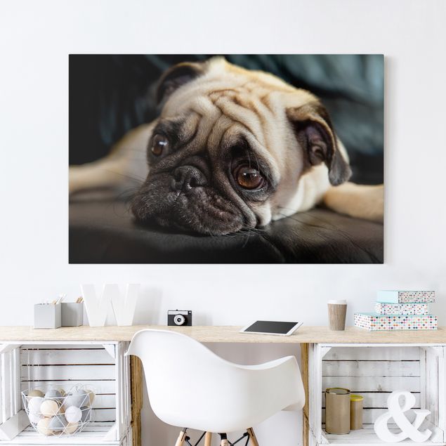 Dog canvas art Pensive Pug