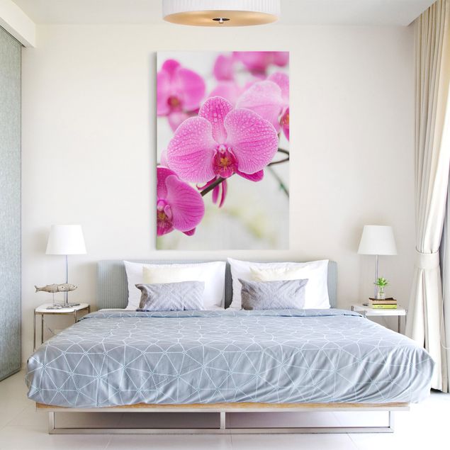 Orchid canvas wall art Close-Up Orchid