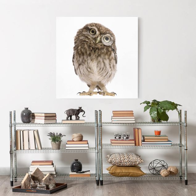 Animal wall art Curious Owl