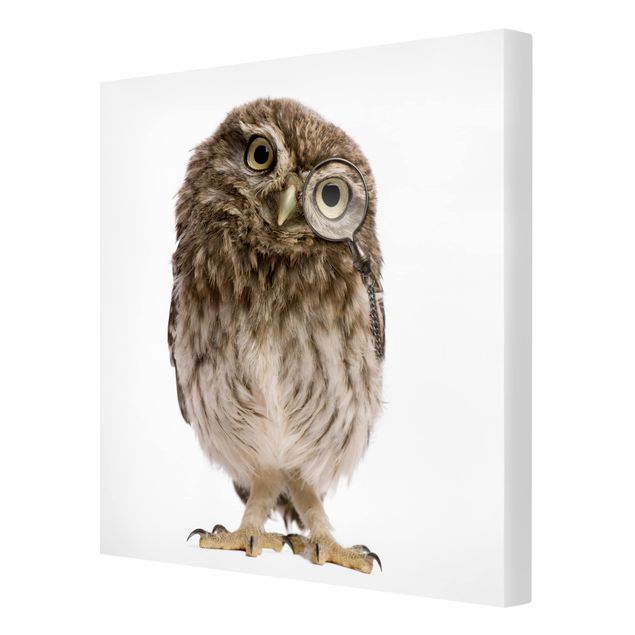 Prints Curious Owl