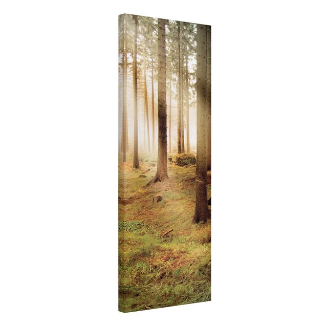 Floral canvas No.CA48 Morning forest