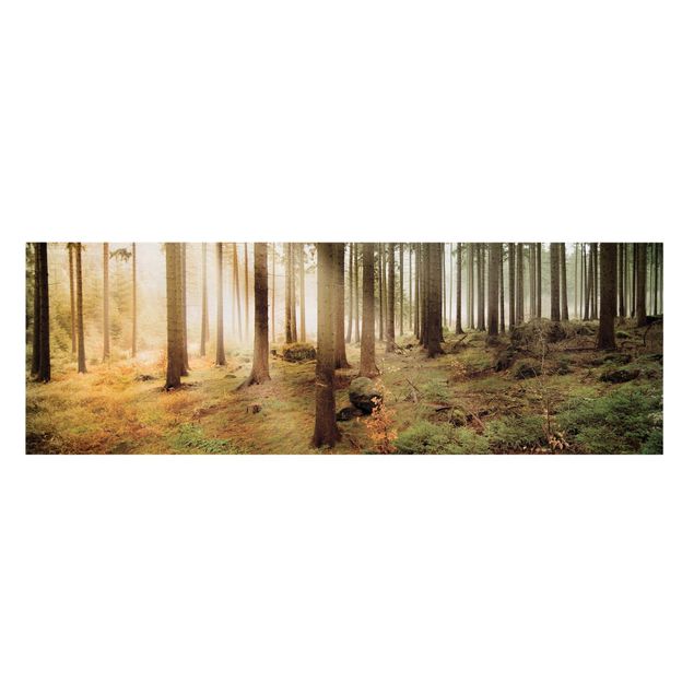 Landscape canvas wall art No.CA48 Morning forest