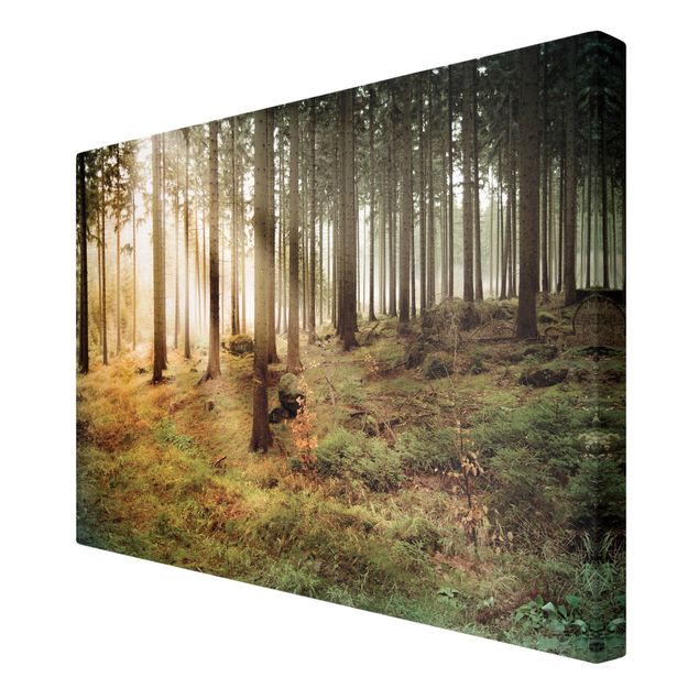 Prints modern No.CA48 Morning forest