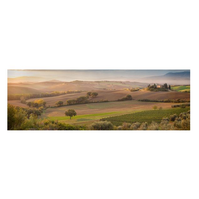 Canvas landscape Olive Grove In Tuscany