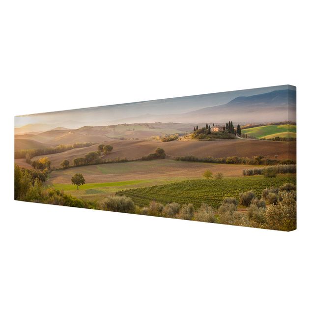 Nature wall art Olive Grove In Tuscany