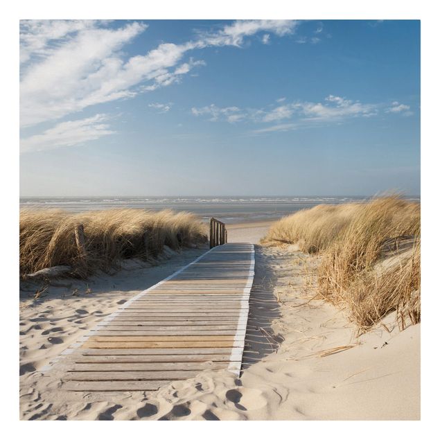 Sand dunes wall art Baltic Sea Beach