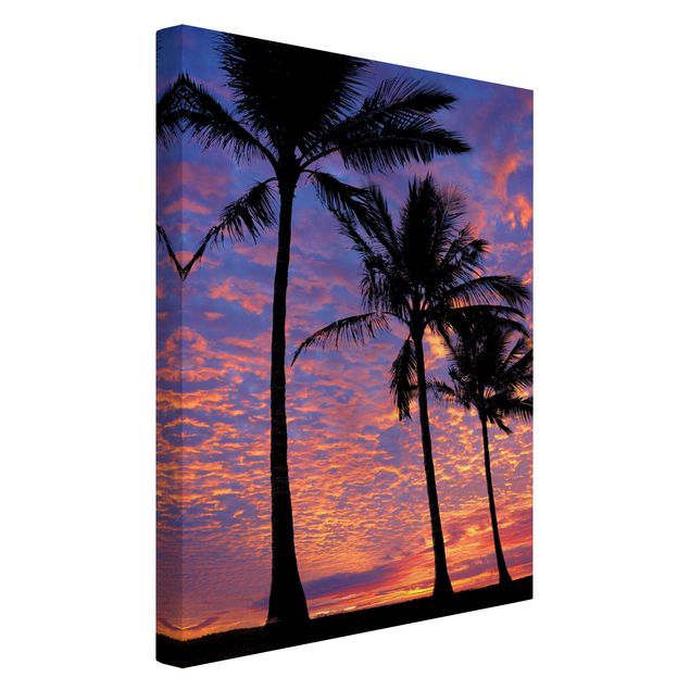 Beach prints Palms