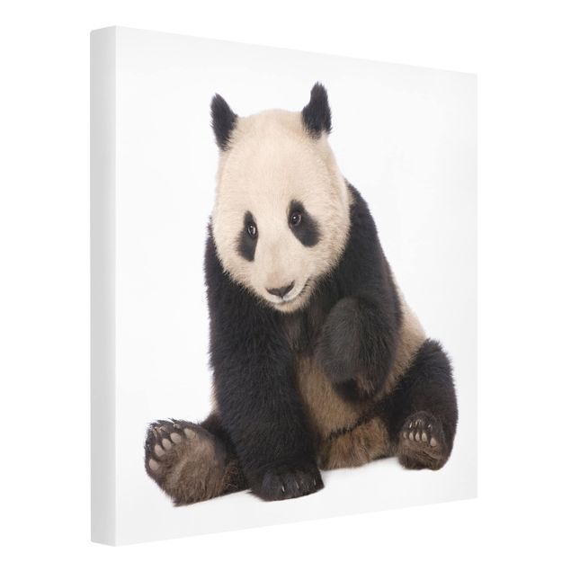 Prints modern Panda Paws