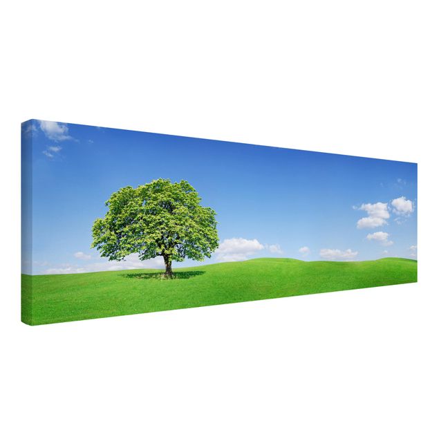 Landscape canvas wall art Panoramic