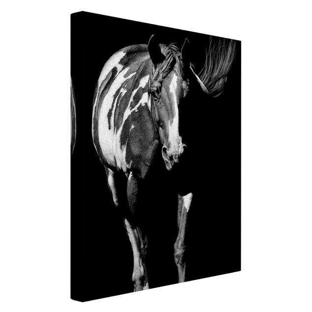 Wall art black and white Horse In The Dark