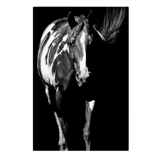 Prints animals Horse In The Dark