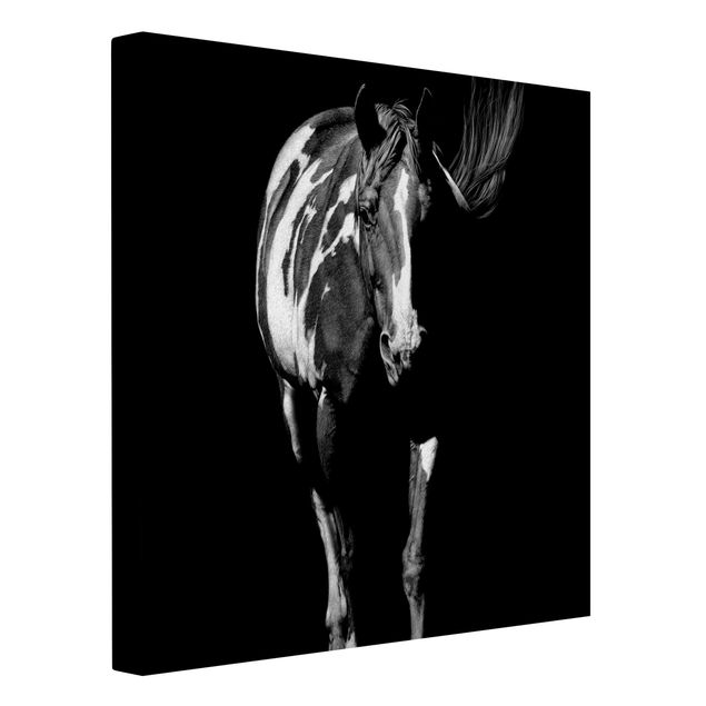 Wall art black and white Horse In The Dark