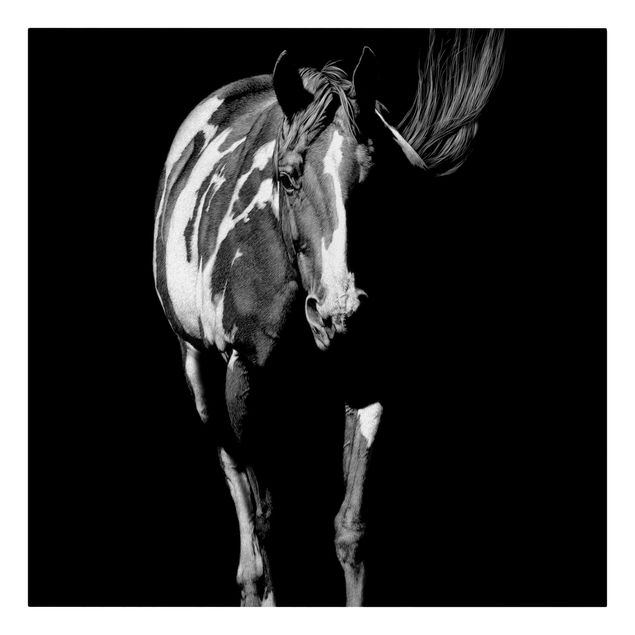 Prints animals Horse In The Dark