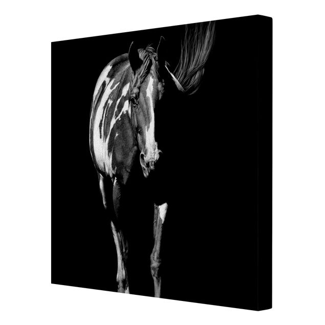 Modern art prints Horse In The Dark