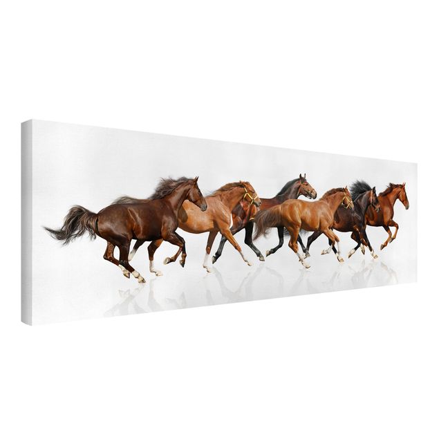 Animal wall art Horse Herd
