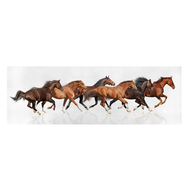 Contemporary art prints Horse Herd