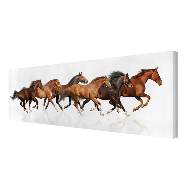 Canvas prints animals Horse Herd
