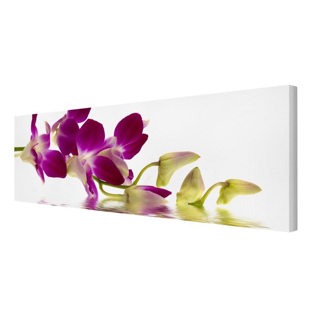 Prints modern Pink Orchid Waters