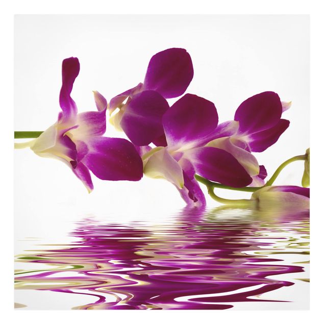 Floral picture Pink Orchid Waters