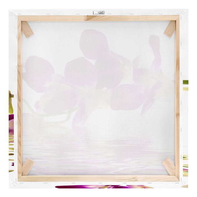 Prints Pink Orchid Waters