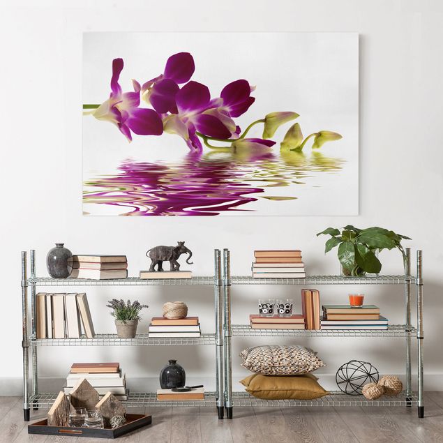 Orchid pictures on canvas Pink Orchid Waters