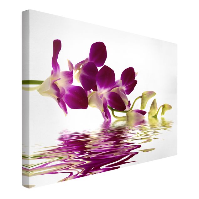 Floral canvas Pink Orchid Waters