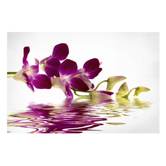 Floral picture Pink Orchid Waters
