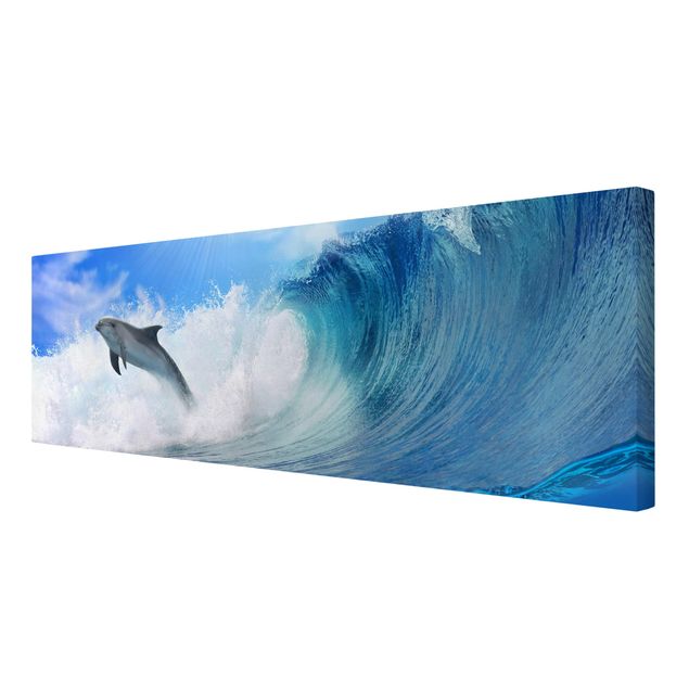 Animal canvas Playing Dolphins
