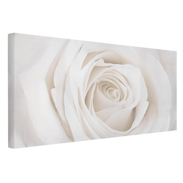 Prints flower Pretty White Rose