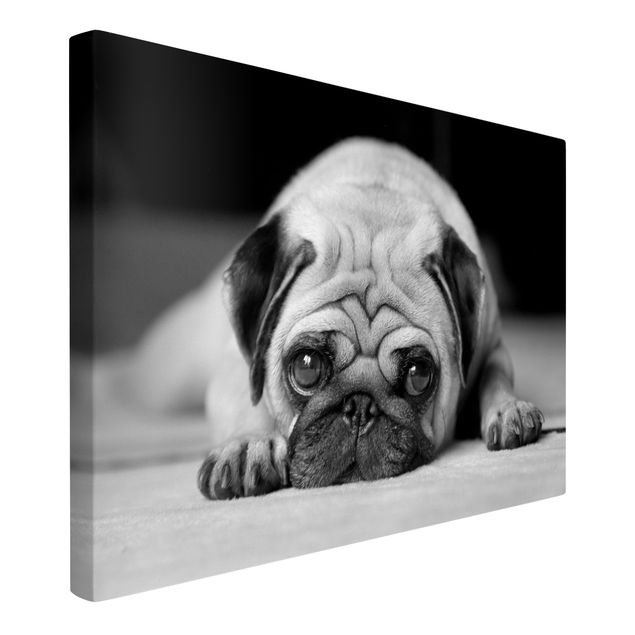Black and white canvas art Pug Loves You II