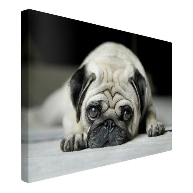 Wall art black and white Pug Loves You
