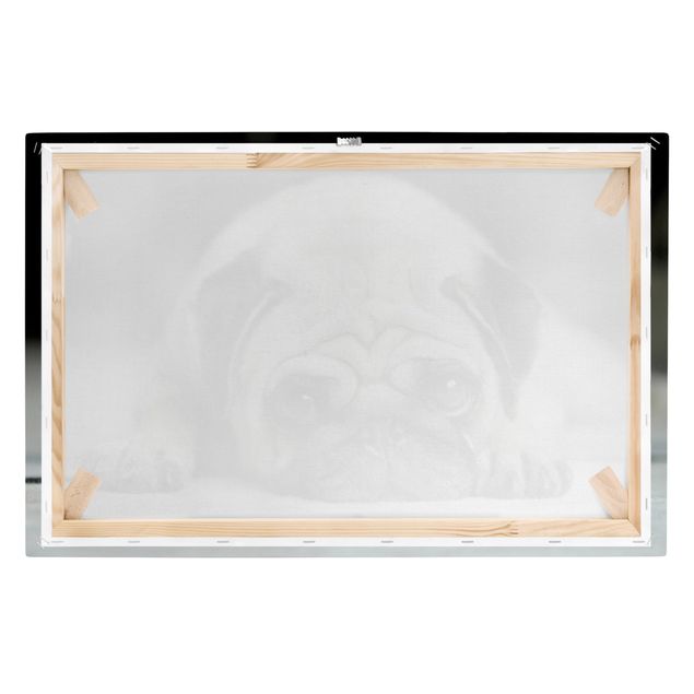 Prints black and white Pug Loves You